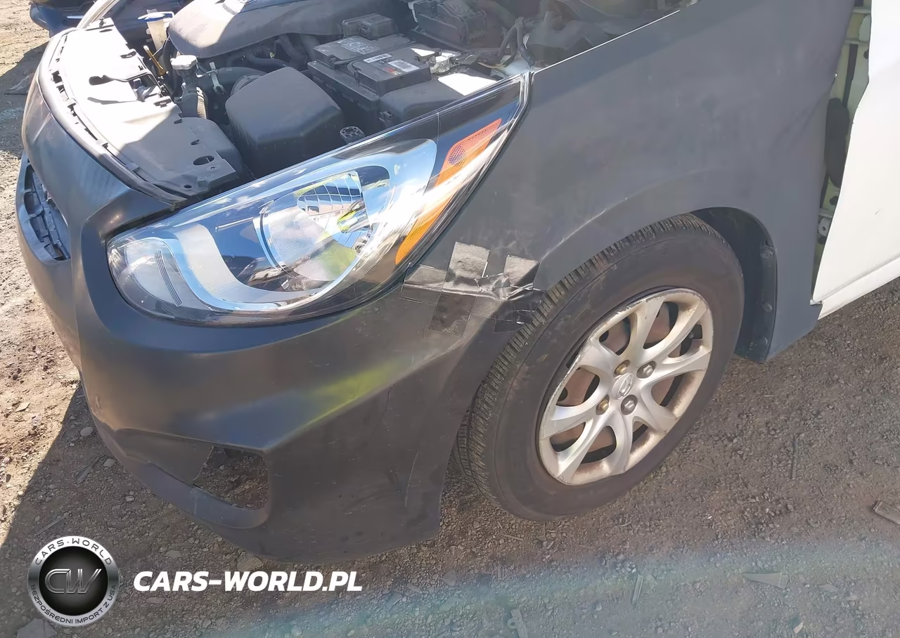 2014 Hyundai Accent Gs VIN:KMHCT5AE5EU193804 - 12