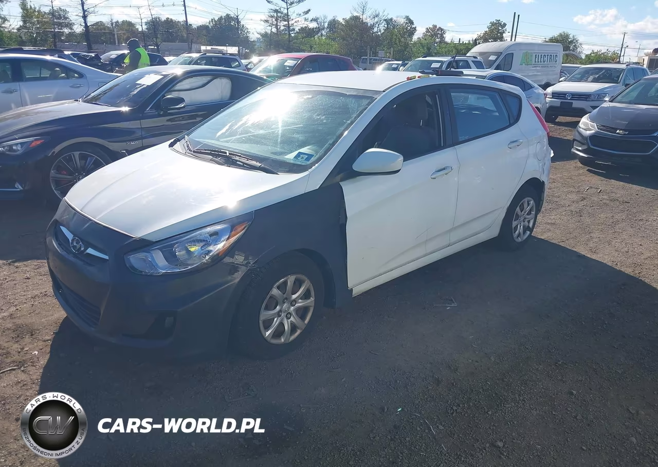 2014 Hyundai Accent Gs VIN:KMHCT5AE5EU193804 - 2