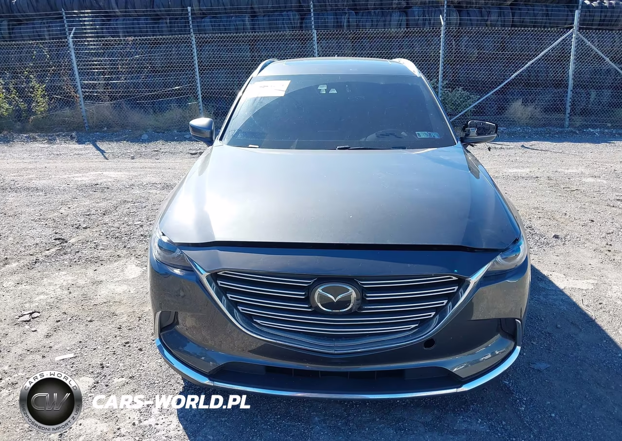 2016 Mazda Cx-9 Grand Touring VIN:JM3TCBDY9G0118131 - 11