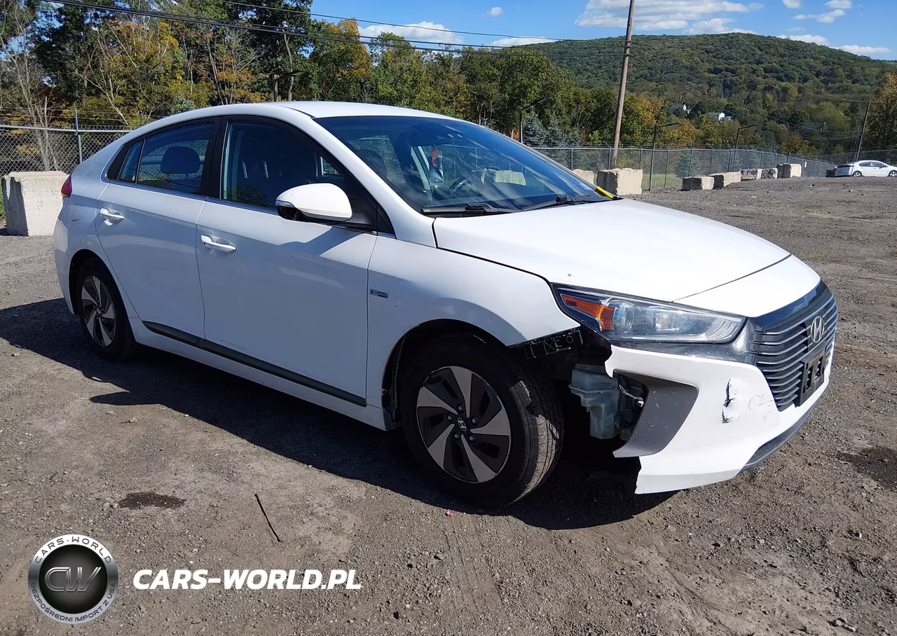 2019 Hyundai Ioniq Hybrid Sel VIN:KMHC75LC7KU140405 - 1