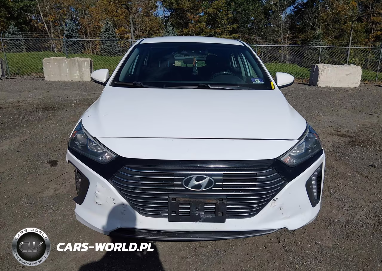 2019 Hyundai Ioniq Hybrid Sel VIN:KMHC75LC7KU140405 - 12