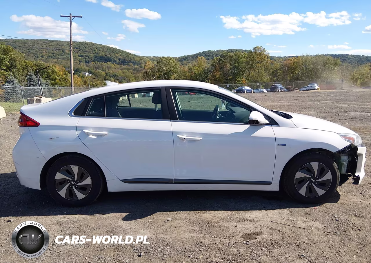 2019 Hyundai Ioniq Hybrid Sel VIN:KMHC75LC7KU140405 - 13