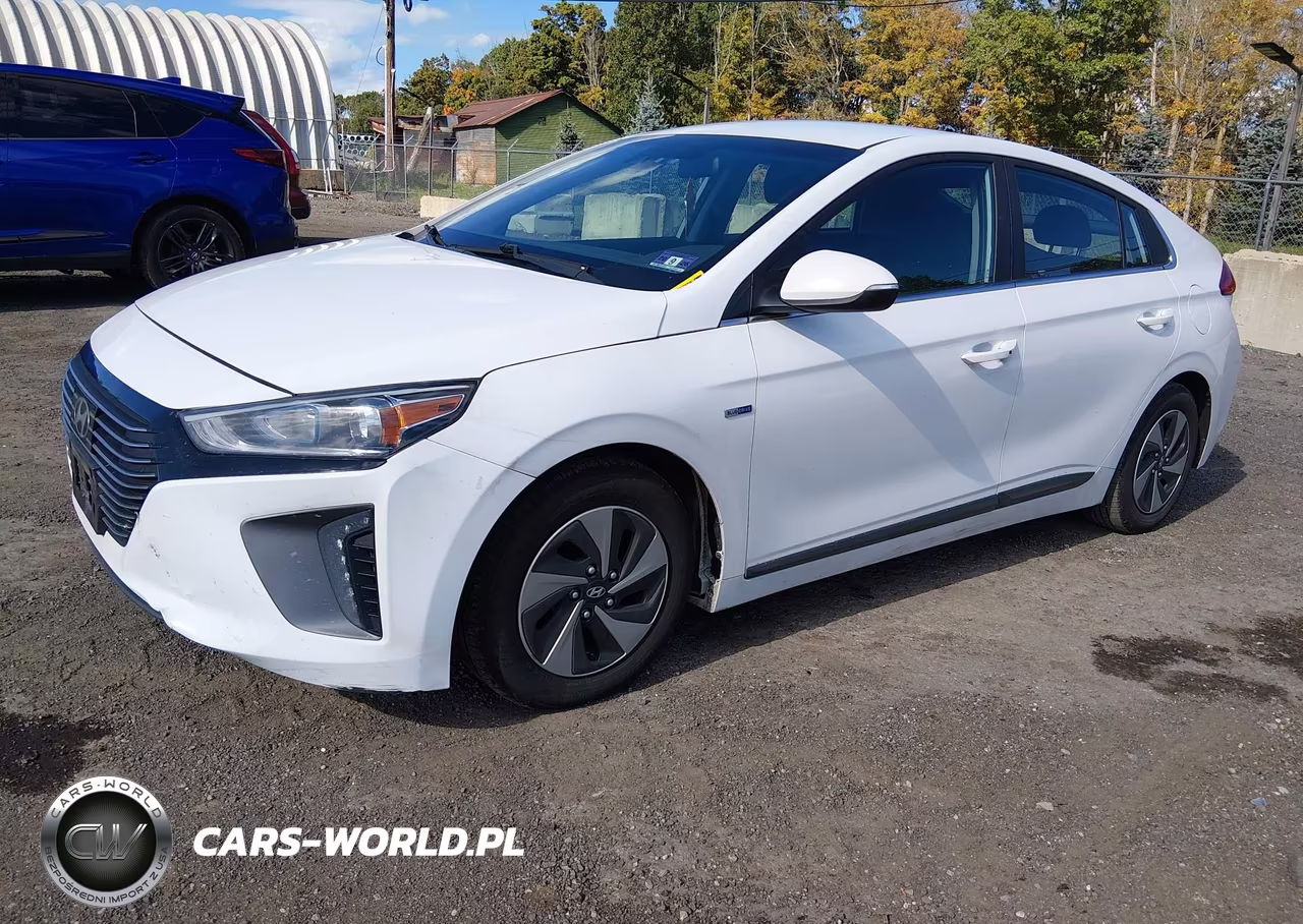 2019 Hyundai Ioniq Hybrid Sel VIN:KMHC75LC7KU140405 - 2