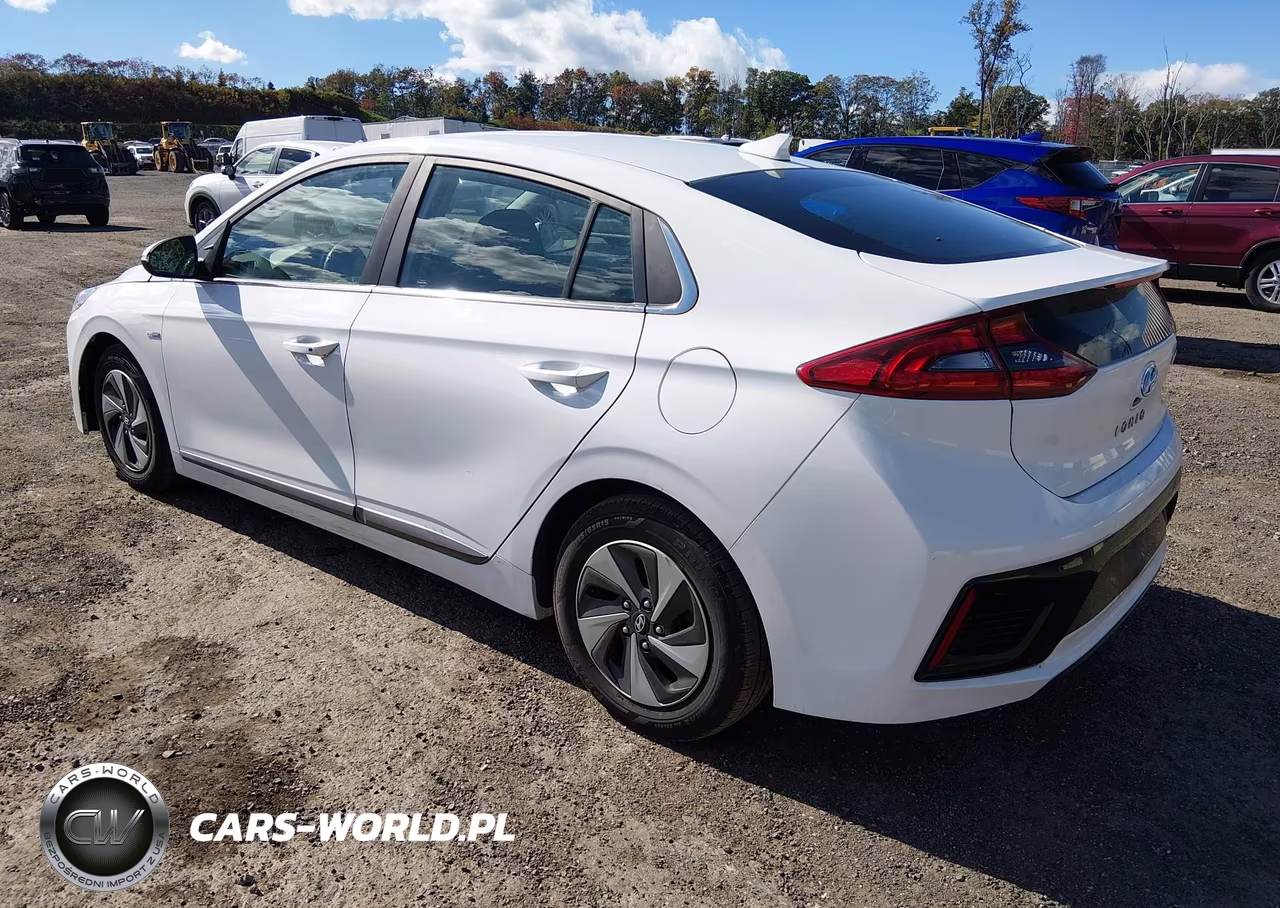 2019 Hyundai Ioniq Hybrid Sel VIN:KMHC75LC7KU140405 - 3