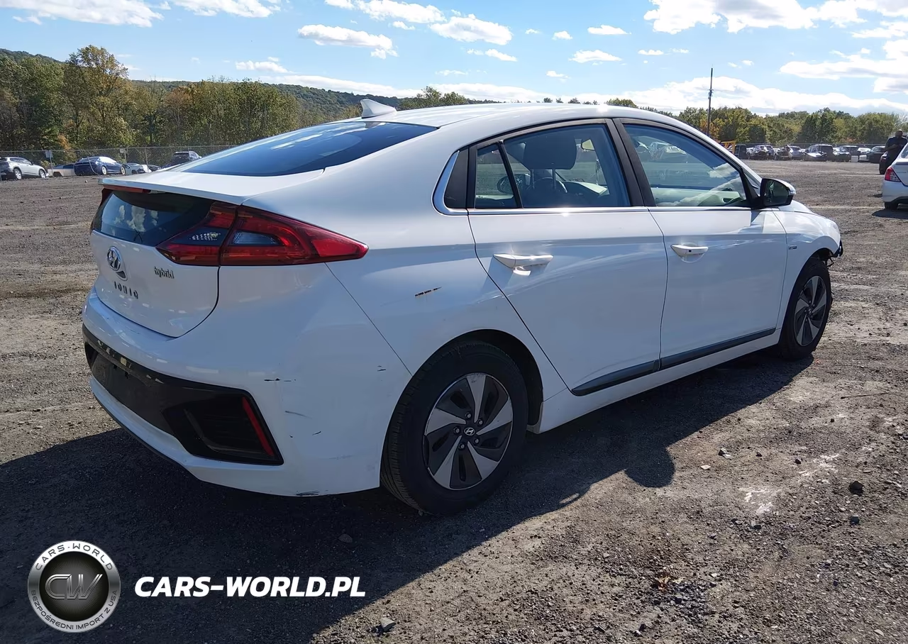 2019 Hyundai Ioniq Hybrid Sel VIN:KMHC75LC7KU140405 - 4