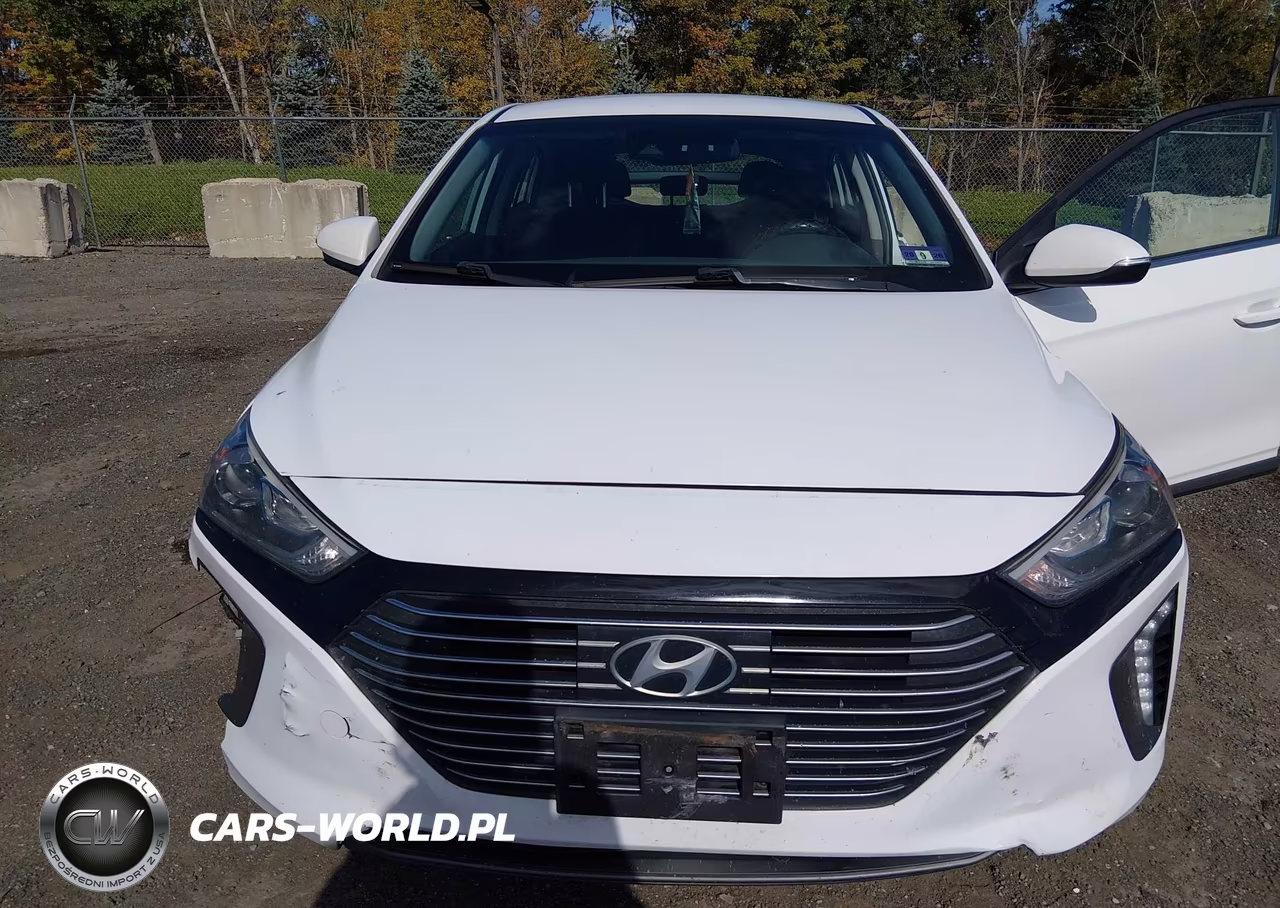 2019 Hyundai Ioniq Hybrid Sel VIN:KMHC75LC7KU140405 - 6