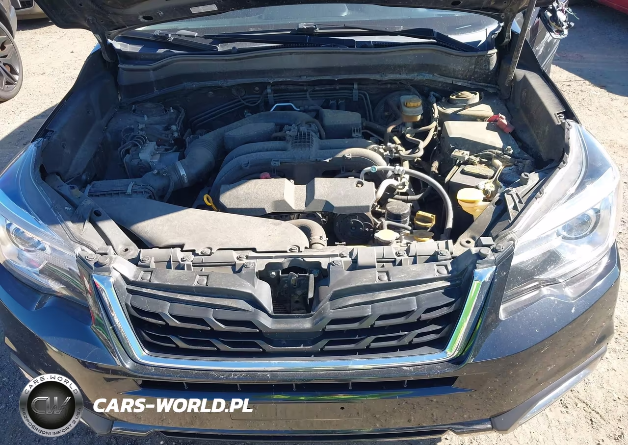 2017 Subaru Forester 2.5I Touring VIN:JF2SJAWC0HH514443 - 10