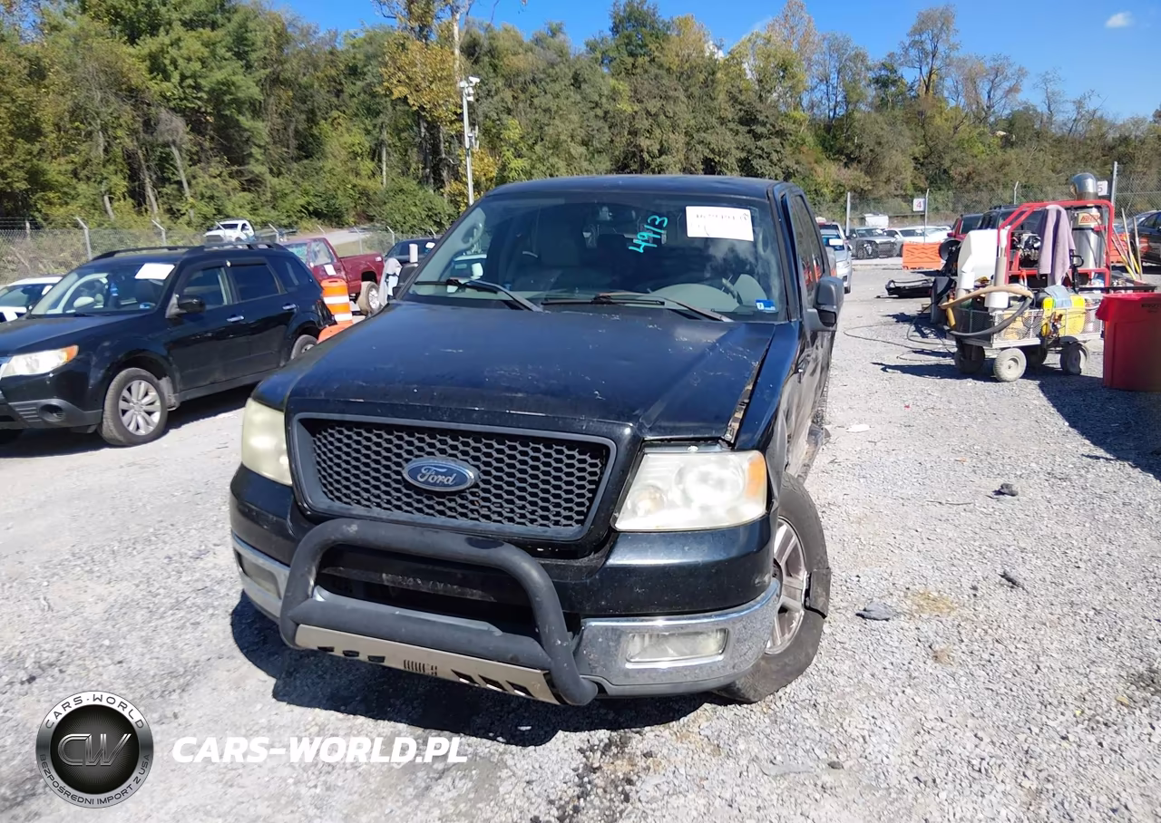 2004 Ford F-150 Fx4-Lariat-Xlt VIN:1FTPW14514FA29521 - 12