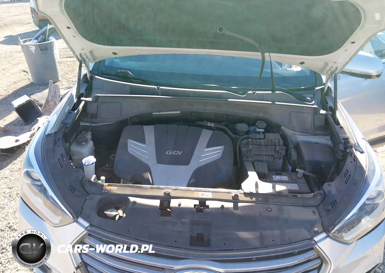 2017 Hyundai Santa Fe Se Ultimate VIN:KM8SR4HF5HU203397 - 10