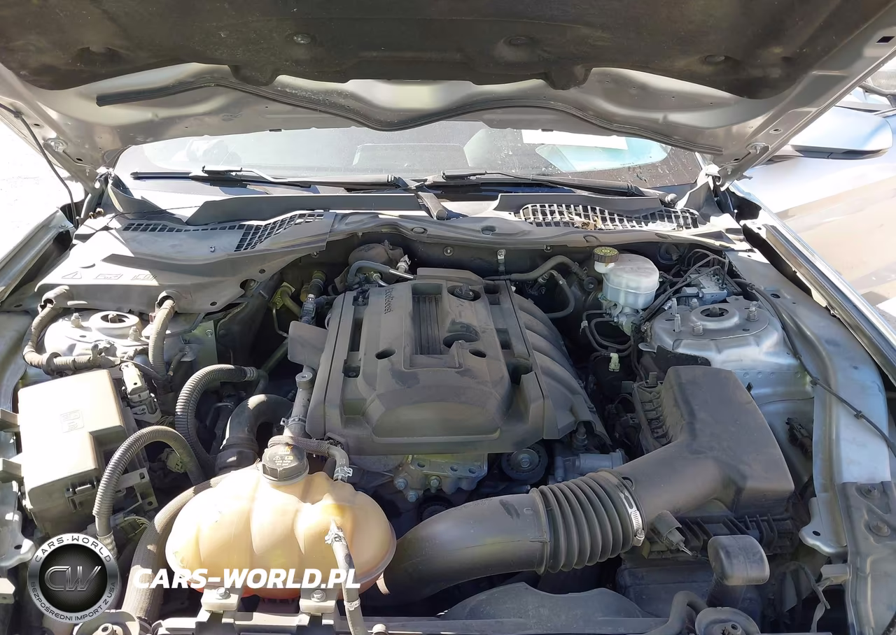 2020 Ford Mustang Ecoboost Premium Fastback VIN:1FA6P8TH2L5119073 - 10