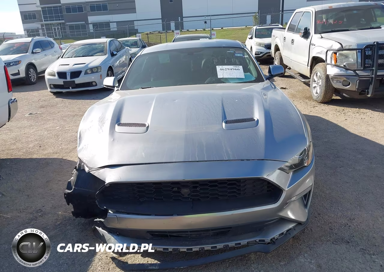2020 Ford Mustang Ecoboost Premium Fastback VIN:1FA6P8TH2L5119073 - 12