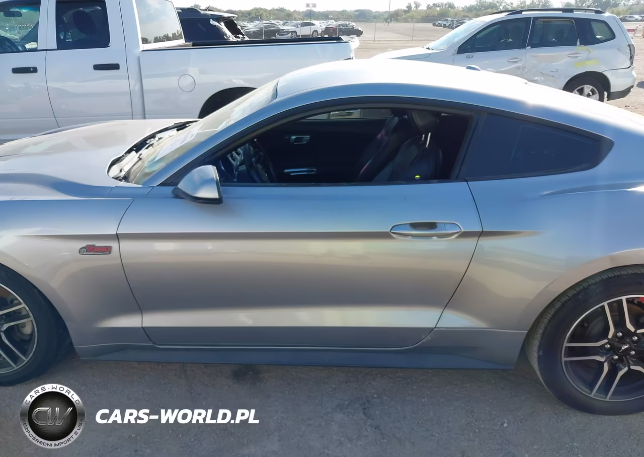 2020 Ford Mustang Ecoboost Premium Fastback VIN:1FA6P8TH2L5119073 - 14
