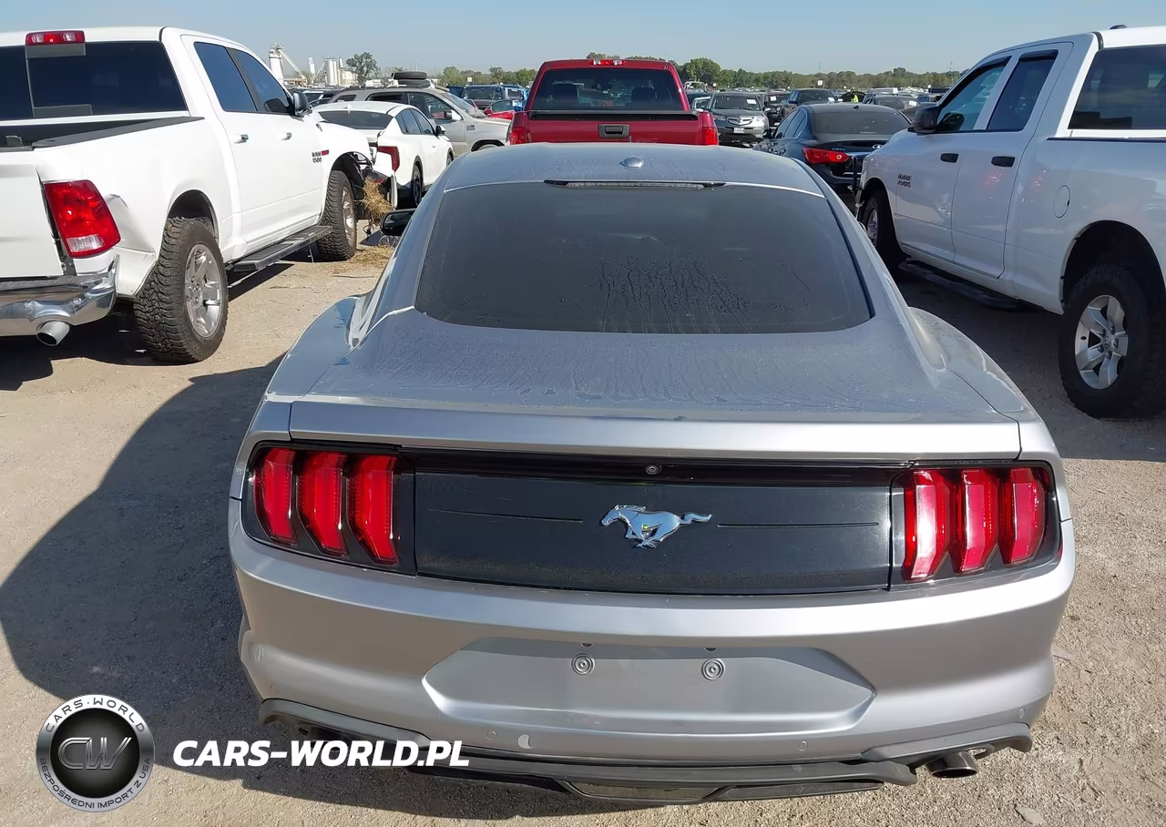 2020 Ford Mustang Ecoboost Premium Fastback VIN:1FA6P8TH2L5119073 - 16