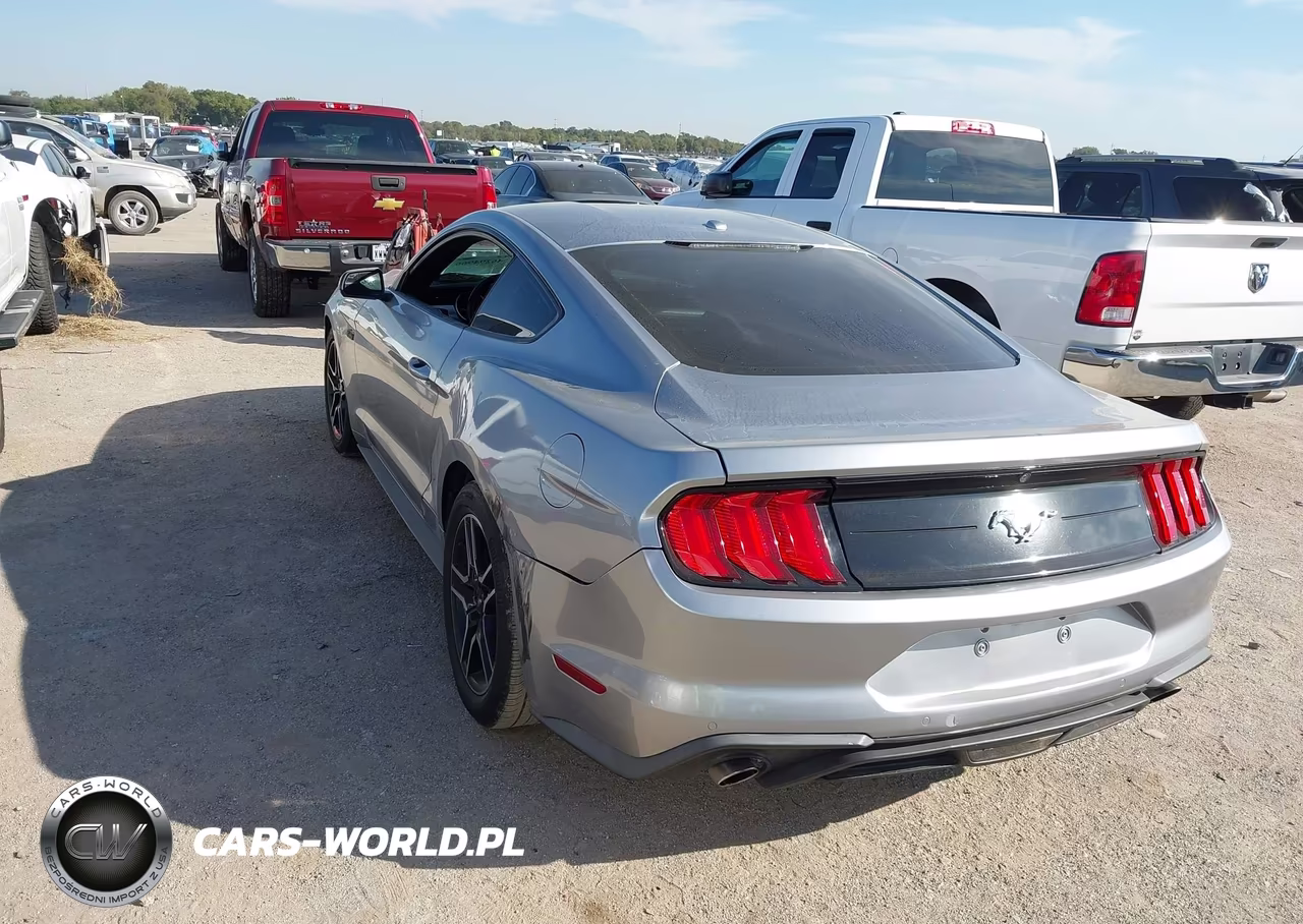 2020 Ford Mustang Ecoboost Premium Fastback VIN:1FA6P8TH2L5119073 - 3