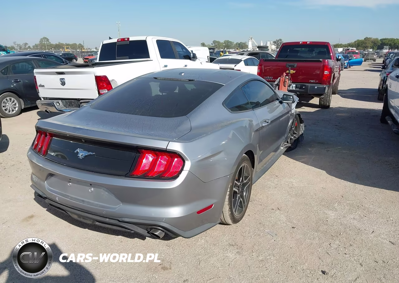 2020 Ford Mustang Ecoboost Premium Fastback VIN:1FA6P8TH2L5119073 - 4