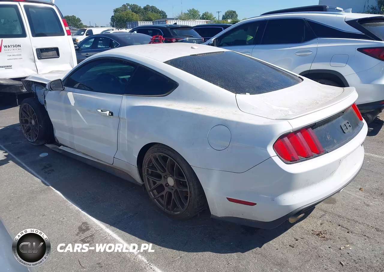 2015 Ford Mustang Ecoboost VIN:1FA6P8TH7F5323243 - 15