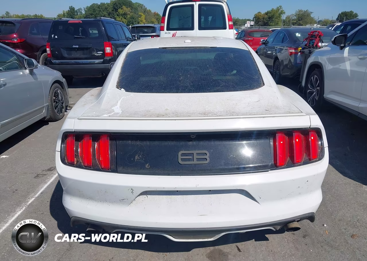 2015 Ford Mustang Ecoboost VIN:1FA6P8TH7F5323243 - 17