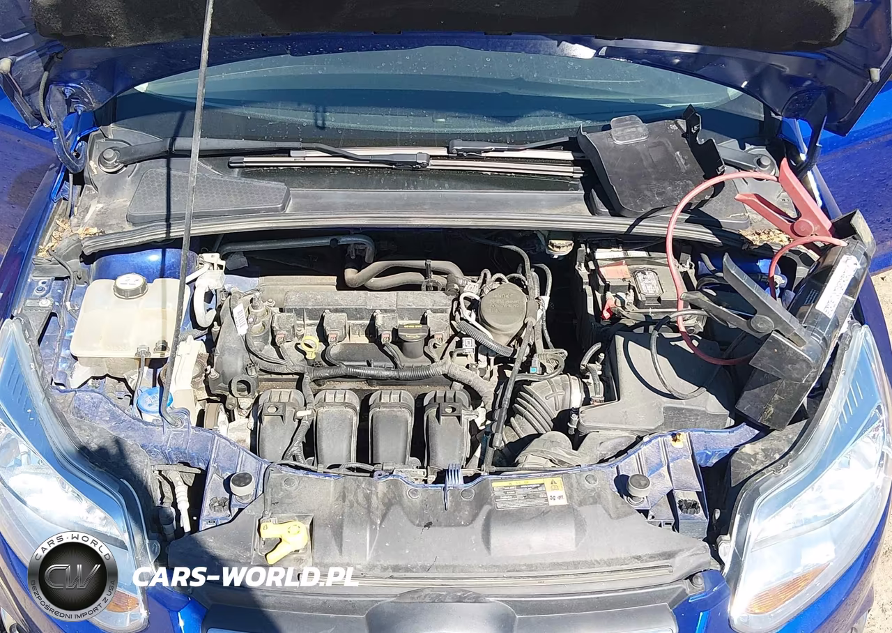 2013 Ford Focus Se VIN:1FADP3F24DL312727 - 10