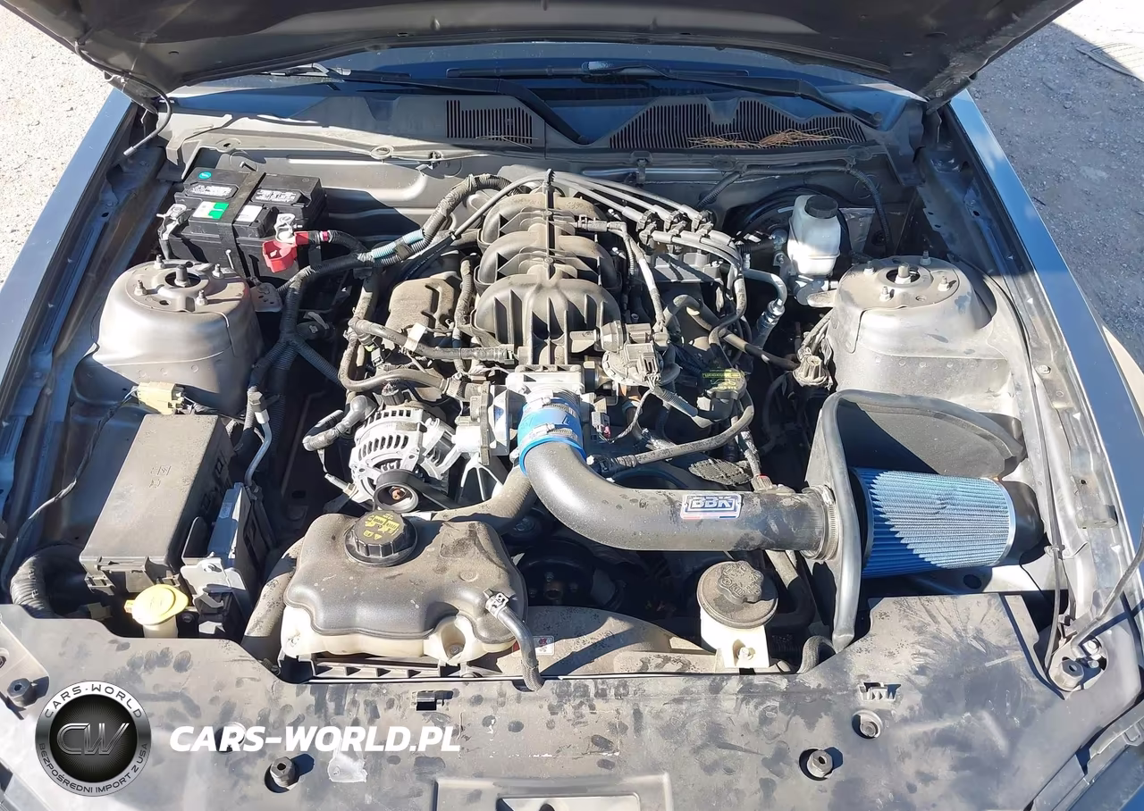 2010 Ford Mustang V6-V6 Premium VIN:1ZVBP8AN1A5150312 - 10