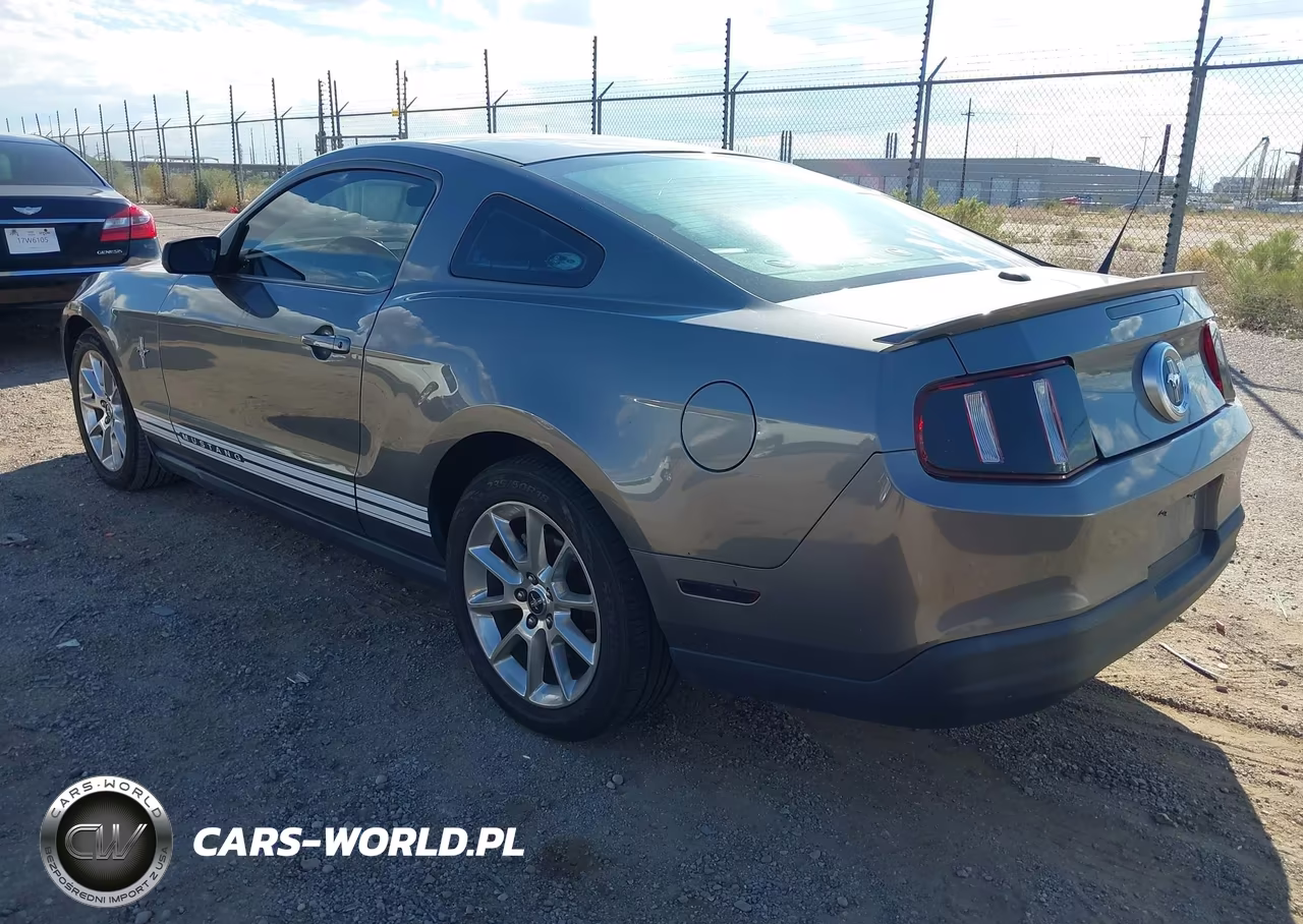 2010 Ford Mustang V6-V6 Premium VIN:1ZVBP8AN1A5150312 - 3