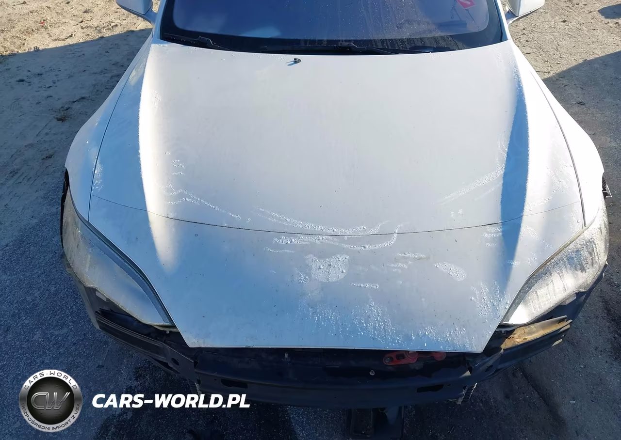 2013 Tesla Model S VIN:5YJSA1CP9DFP21848 - 10