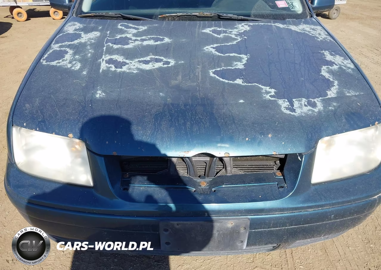 2001 Volkswagen Jetta Gls Tdi VIN:3VWSP69M51M177975 - 6