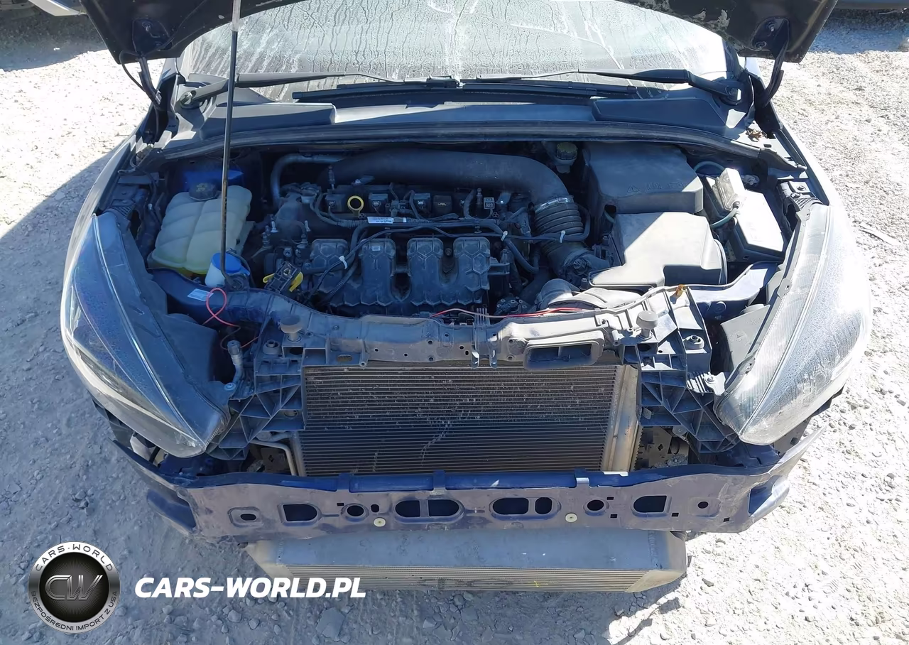 2017 Ford Focus St VIN:1FADP3L9XHL340488 - 10