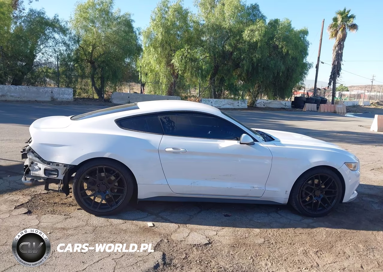 2017 Ford Mustang V6 VIN:1FA6P8AM6H5336200 - 14