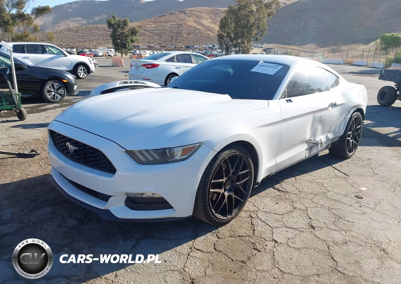 2017 Ford Mustang V6 VIN:1FA6P8AM6H5336200 - 2