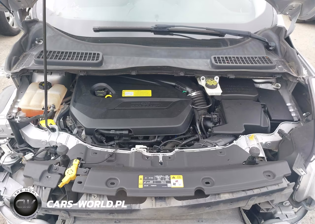 2013 Ford Escape Se VIN:1FMCU0GX8DUB83999 - 10