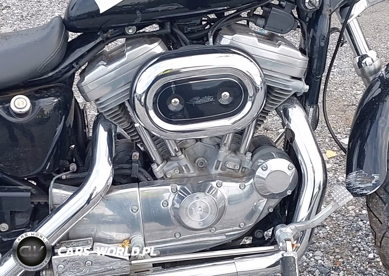 2001 Harley-Davidson Xl883 VIN:1HD4CAM151K134301 - 8