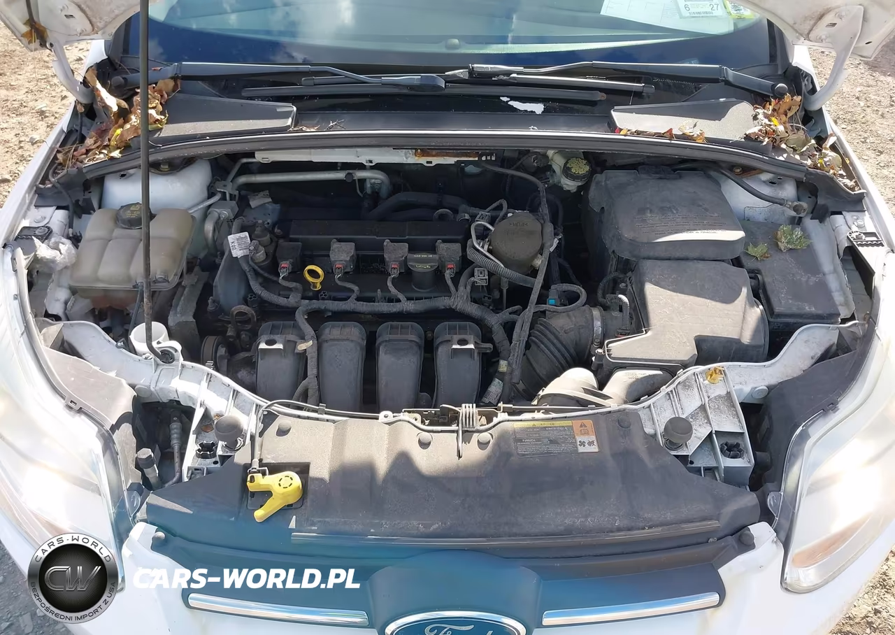 2014 Ford Focus Se VIN:1FADP3F26EL211982 - 10