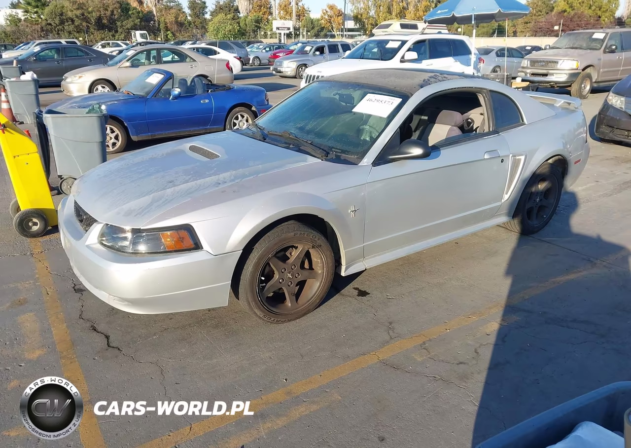 2003 Ford Mustang VIN:1FAFP40493F363498 - 2