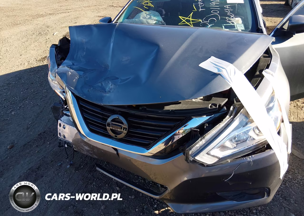 2017 Nissan Altima 2.5 Sl VIN:1N4AL3AP7HC207798 - 10