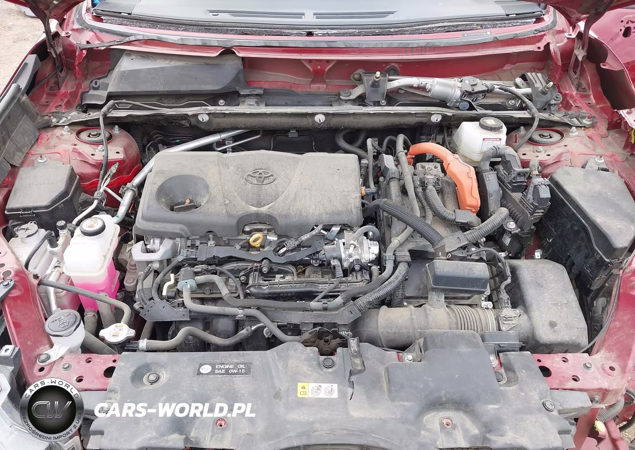 2024 Toyota Rav4 Hybrid Xle VIN:2T3RWRFV6RW186553 - 10