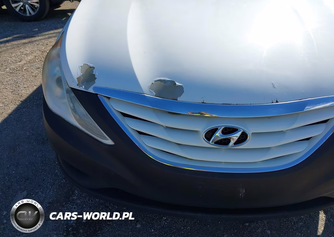 2013 Hyundai Sonata Gls VIN:5NPEB4AC5DH726641 - 6