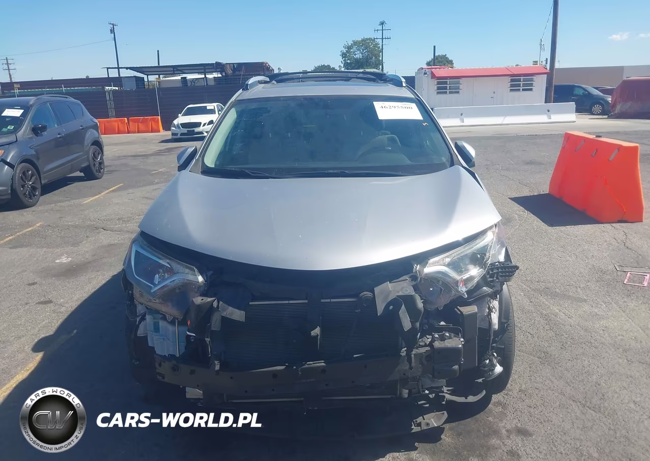 2016 Toyota Rav4 Xle VIN:2T3WFREV5GW244332 - 13