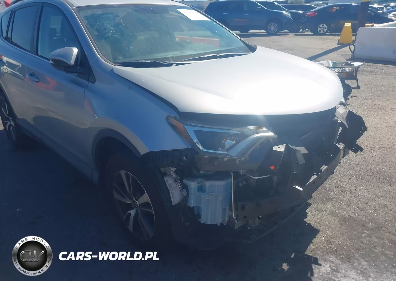 2016 Toyota Rav4 Xle VIN:2T3WFREV5GW244332 - 18