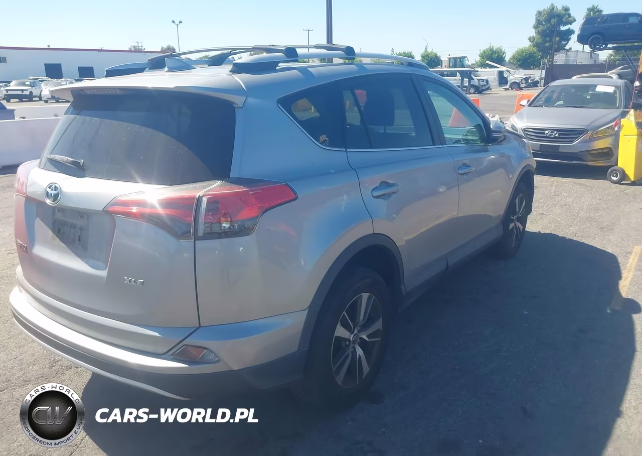 2016 Toyota Rav4 Xle VIN:2T3WFREV5GW244332 - 4