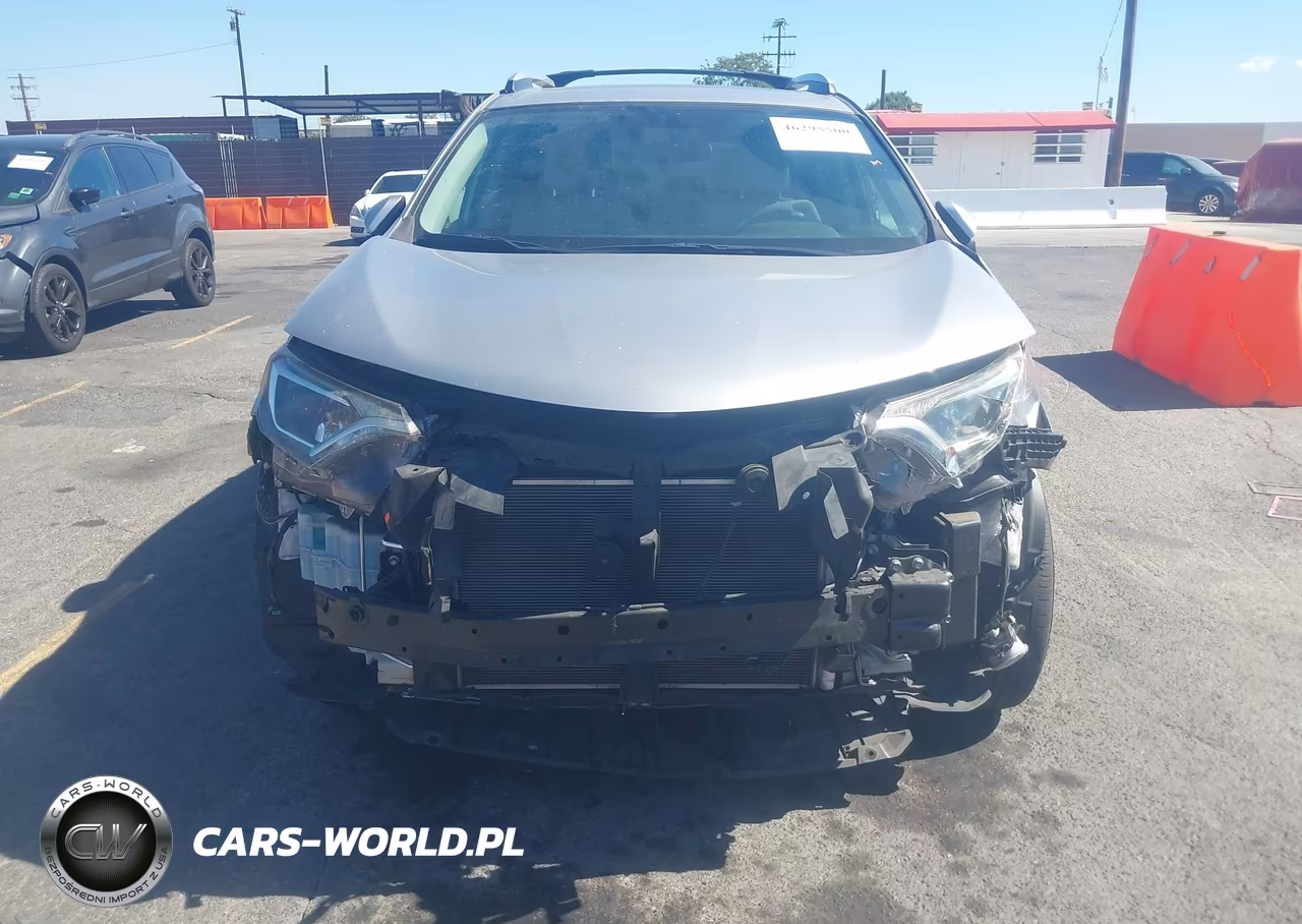 2016 Toyota Rav4 Xle VIN:2T3WFREV5GW244332 - 6