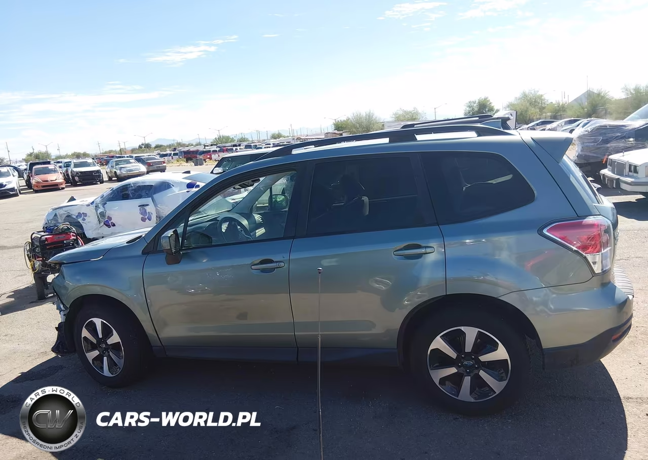 2017 Subaru Forester 2.5I Premium VIN:JF2SJADC6HH467003 - 15