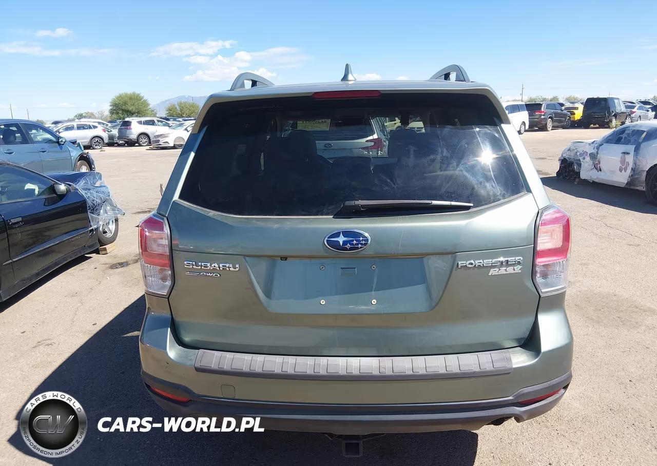 2017 Subaru Forester 2.5I Premium VIN:JF2SJADC6HH467003 - 17