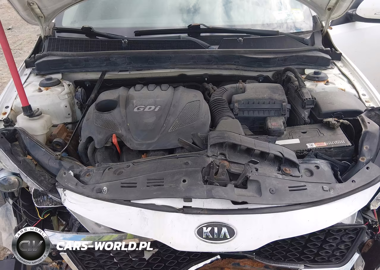 2013 Kia Optima Lx VIN:KNAGM4A77D5397704 - 10
