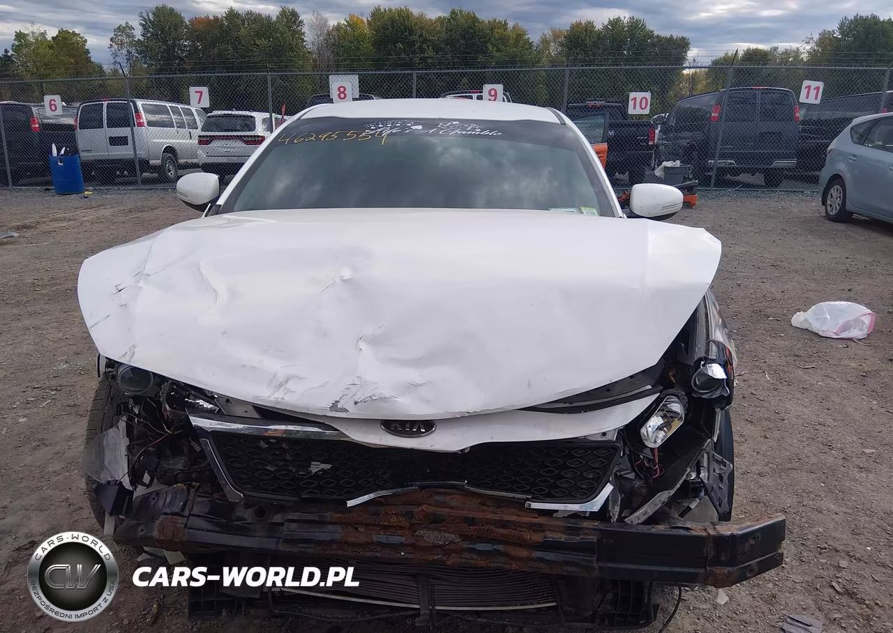 2013 Kia Optima Lx VIN:KNAGM4A77D5397704 - 13