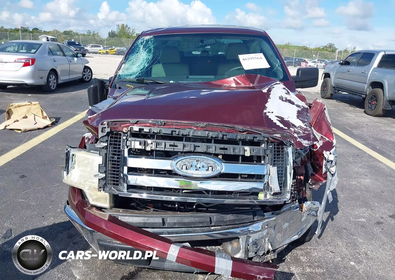 2009 Ford F-150 King Ranch-Lariat-Platinum-Xl-Xlt VIN:1FTPW12V09KC72349 - 12