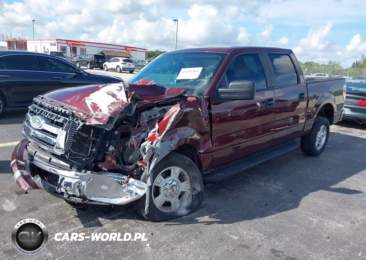 2009 Ford F-150 King Ranch-Lariat-Platinum-Xl-Xlt VIN:1FTPW12V09KC72349 - 2