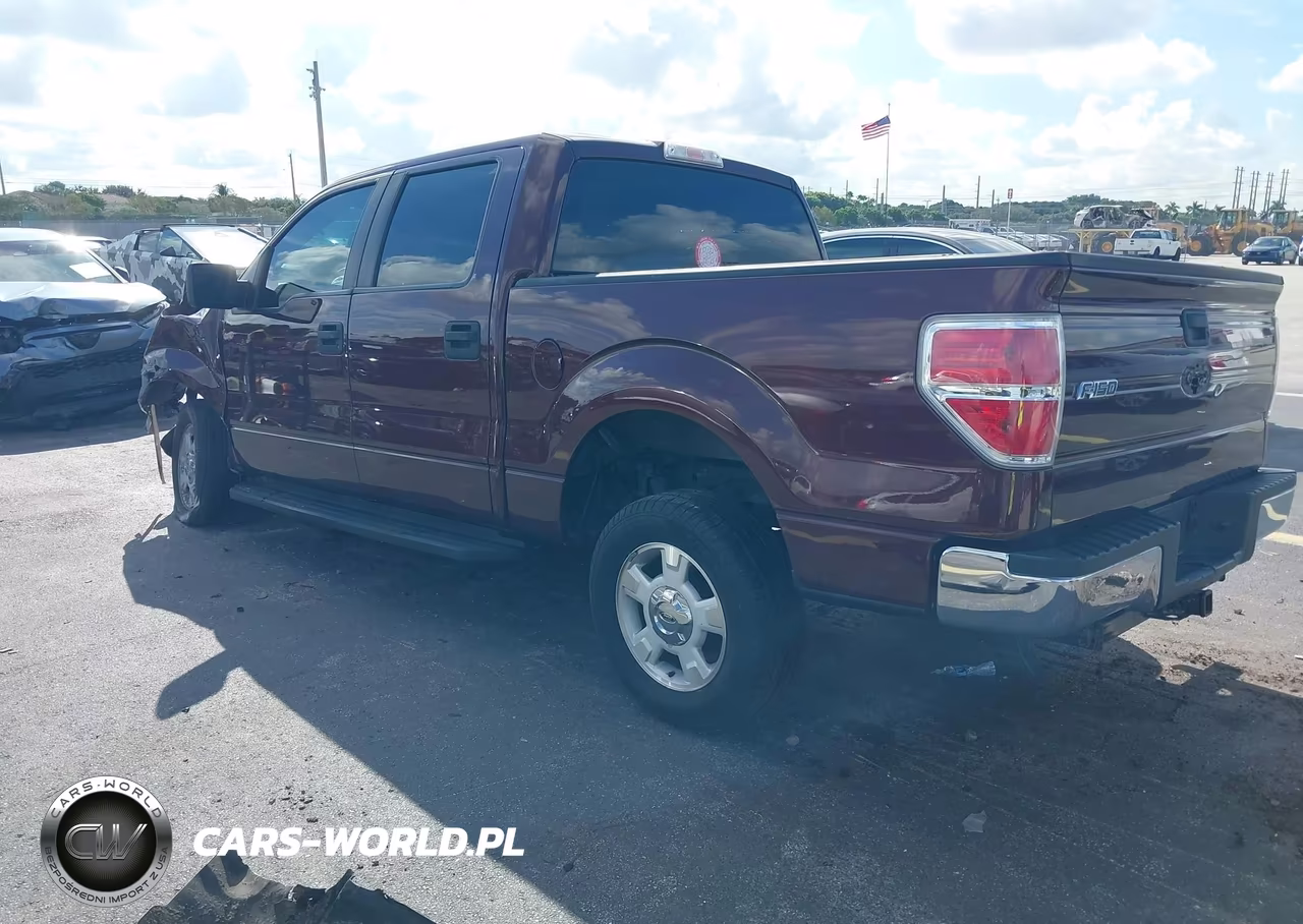 2009 Ford F-150 King Ranch-Lariat-Platinum-Xl-Xlt VIN:1FTPW12V09KC72349 - 3