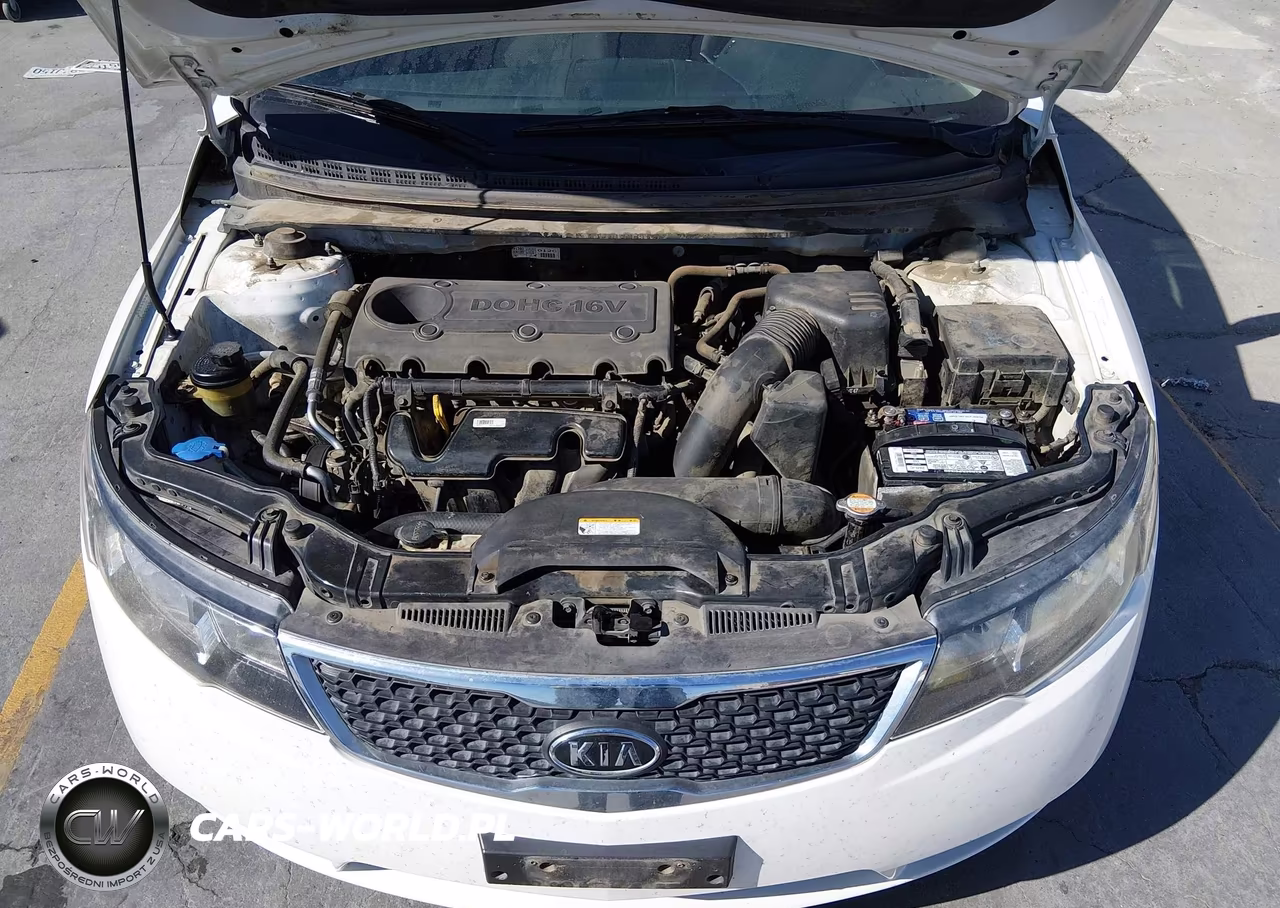 2012 Kia Forte Ex VIN:KNAFU4A22C5496493 - 10