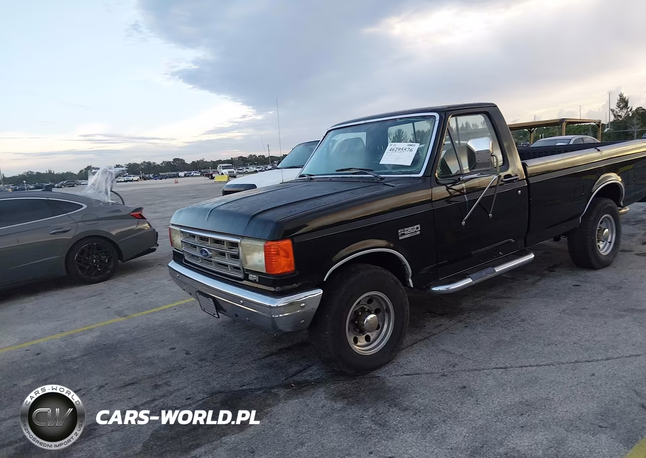 1989 Ford F250 VIN:1FTHF25G8KNA77241 - 2