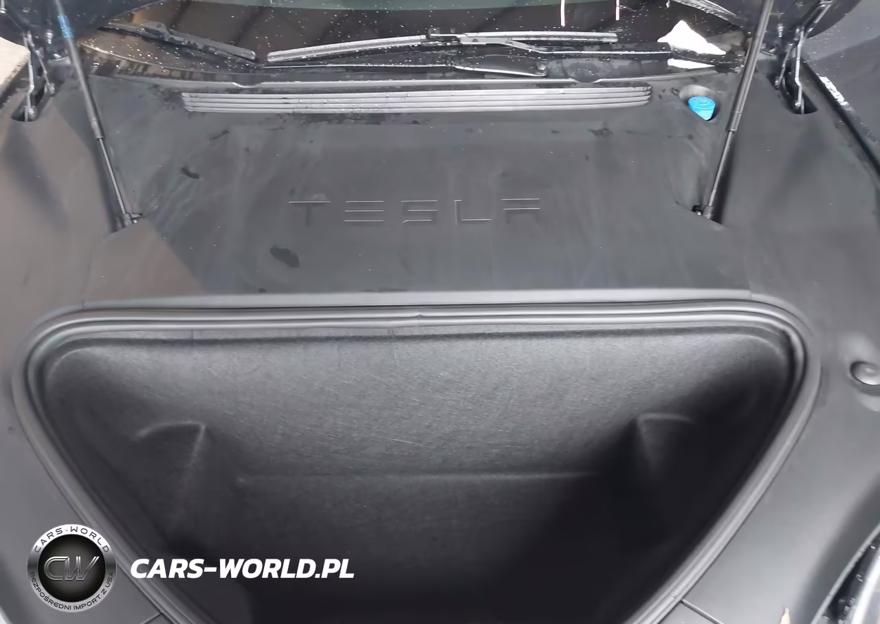 2018 Tesla Model S 100D-75D-P100D VIN:5YJSA1E28JF297043 - 10